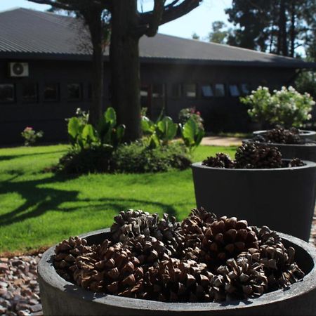 Vista Ort Hotel Kempton Park Bagian luar foto